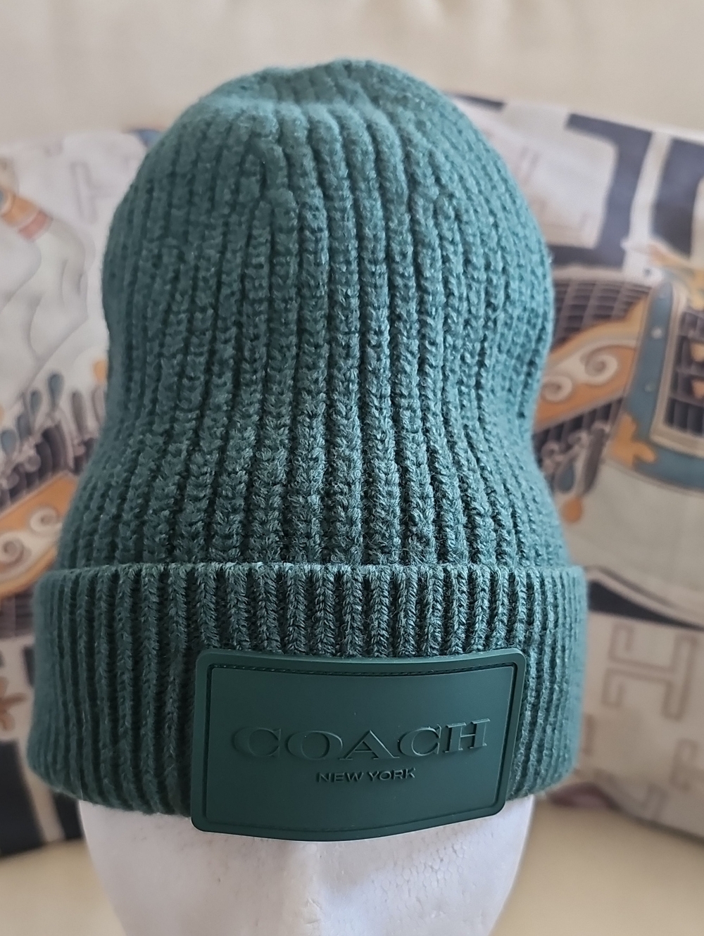 COACH Men's Ribbed Beanie in Teal